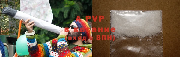 крисы Алексин