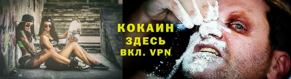 крисы Алексин
