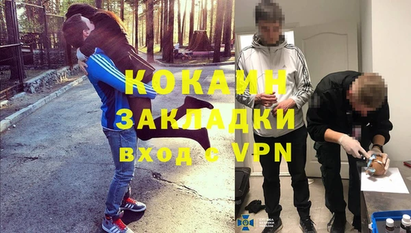 крисы Алексин