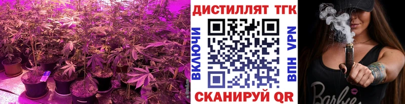 Дистиллят ТГК THC oil  нарко площадка как зайти  Суджа 