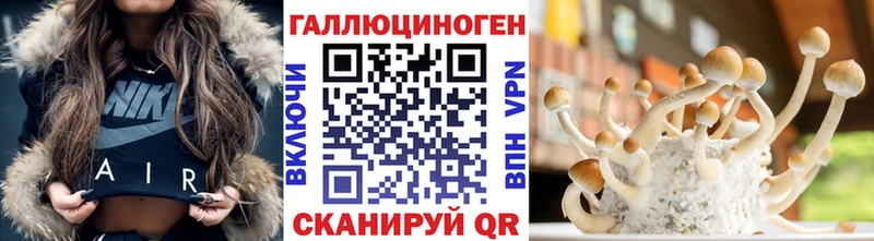 Галлюциногенные грибы GOLDEN TEACHER  kraken ONION  Суджа  где купить наркоту 