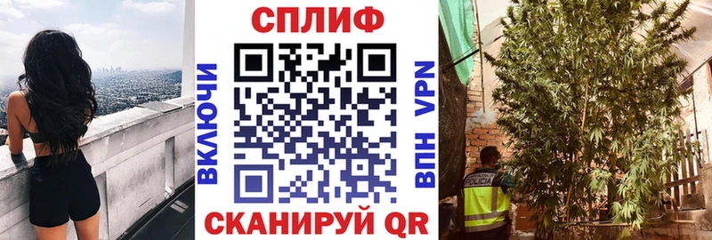 МАРИХУАНА White Widow  кракен онион  Суджа 